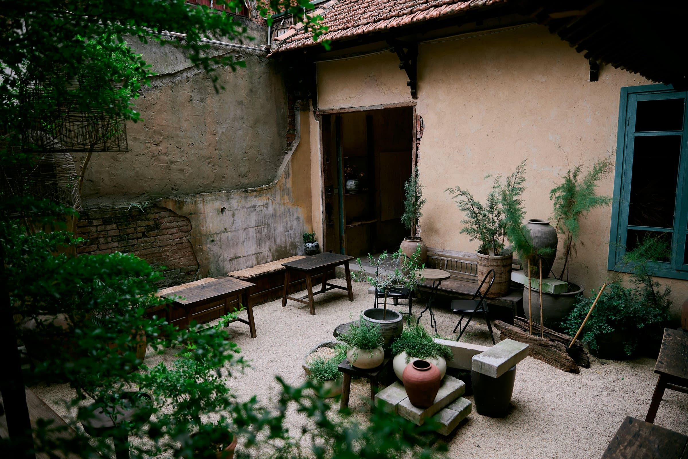 The planted courtyard behind the café, early in the morning.