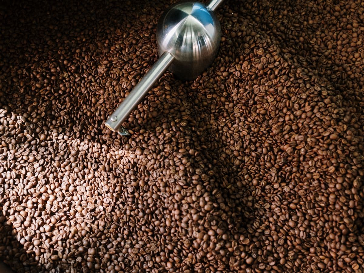 Roasted beans turning in the cooling tray.